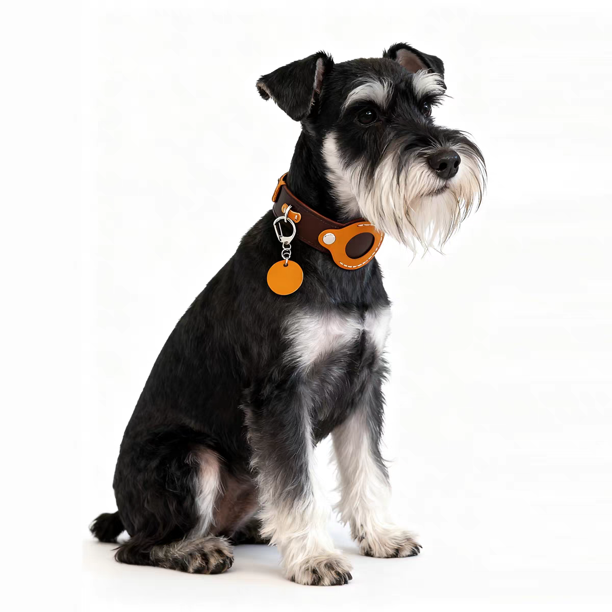 AirTag Pet Collar - Leather Protective Case for Cats & Dogs with Anti-Lost Tracker (Huawei Tag Compatible)