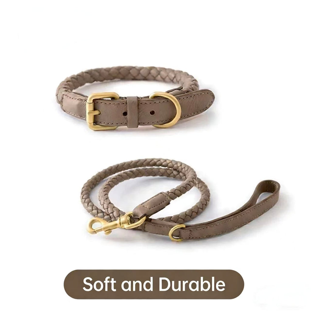 Braided Pet Collar and Leash Set - Adjustable for Medium to Large Breeds - Corgi, Golden Retriever & More