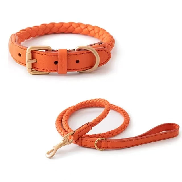 Braided Pet Collar and Leash Set - Adjustable for Medium to Large Breeds - Corgi, Golden Retriever & More