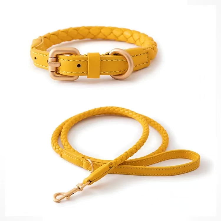 Braided Pet Collar and Leash Set - Adjustable for Medium to Large Breeds - Corgi, Golden Retriever & More