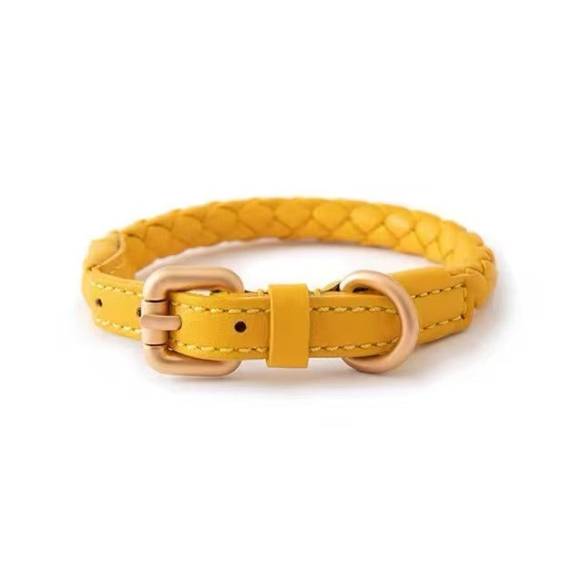 Braided Pet Collar and Leash Set - Adjustable for Medium to Large Breeds - Corgi, Golden Retriever & More