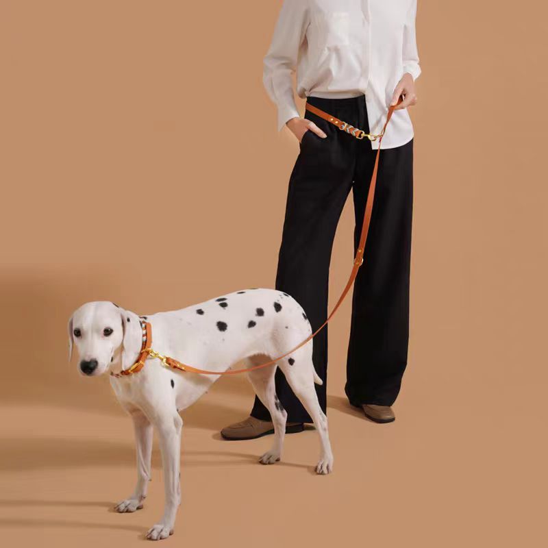 Multi-Functional Pet Leash and Collar Set - Adjustable Training Lead for Medium to Large Breeds