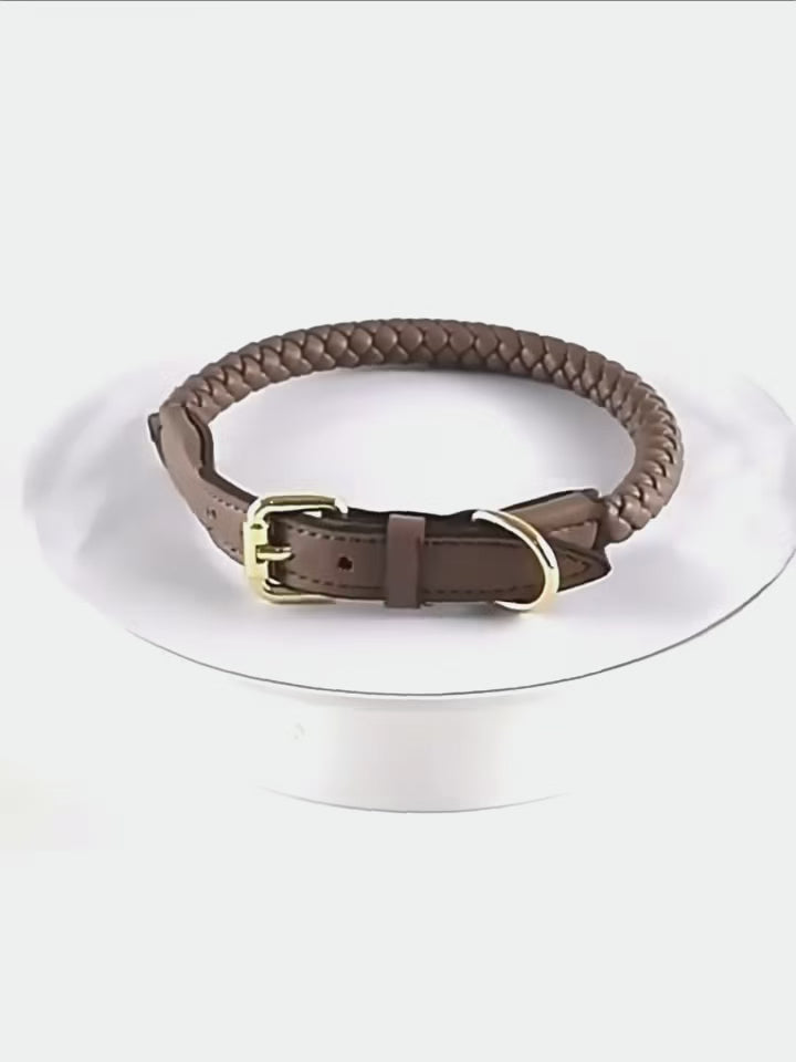 Braided Pet Collar and Leash Set - Adjustable for Medium to Large Breeds - Corgi, Golden Retriever & More